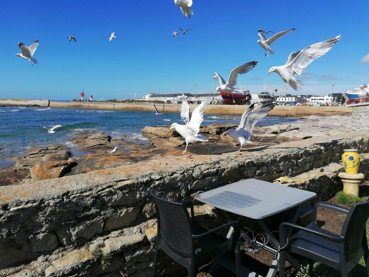 La Rose Des Mers Bed & Breakfast *